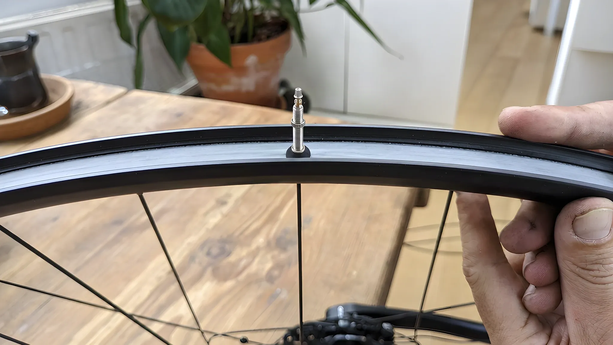 Tubeless Presta valve fitted through a taped bicycle rim seen from the open rim bed, with its conical rubber base seated in the centre channel on top of the rim tape
